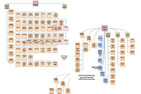 Risk Management Fund Information Architecture